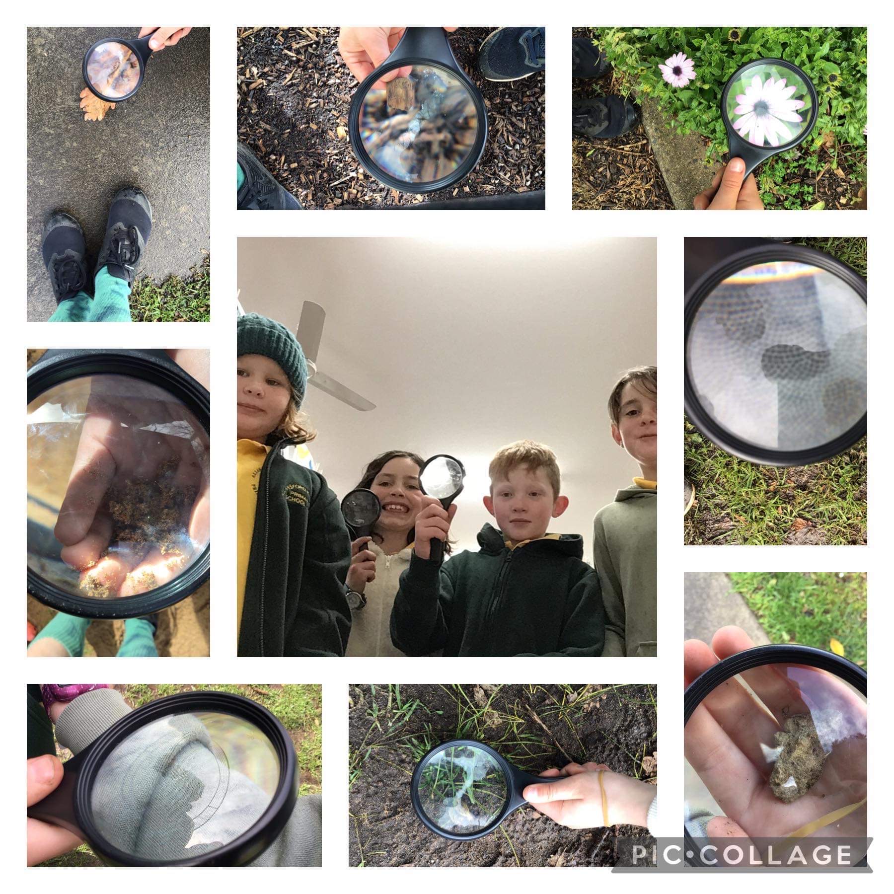 /uploaded_files/media/gallery/1661938097IMG_6172 2.JPG